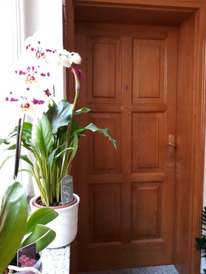 Maristela Apartamento Rovinj Exterior foto